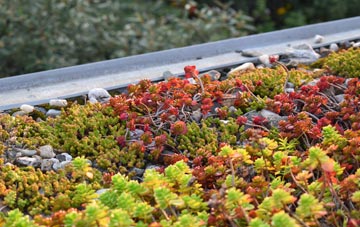 the cost of Carleton St Peter green roof installation