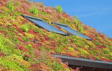 Carleton St Peter living roof systems
