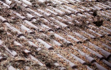 Carleton St Peter roof cleaning companies