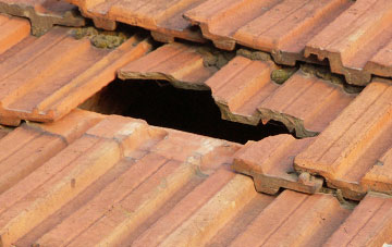 roof repair Carleton St Peter, Norfolk