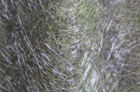 Carleton St Peter fibreglass roof work